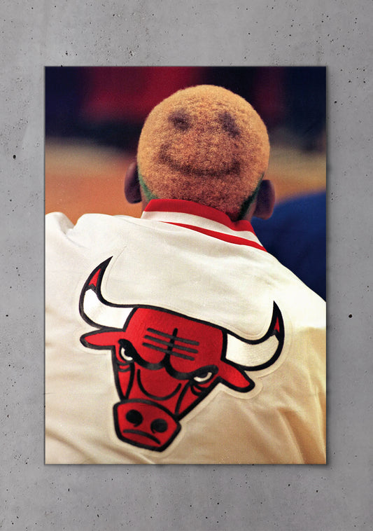 Wild Rodman