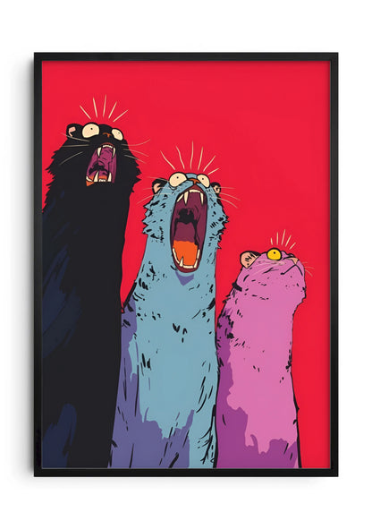 3 Cats
