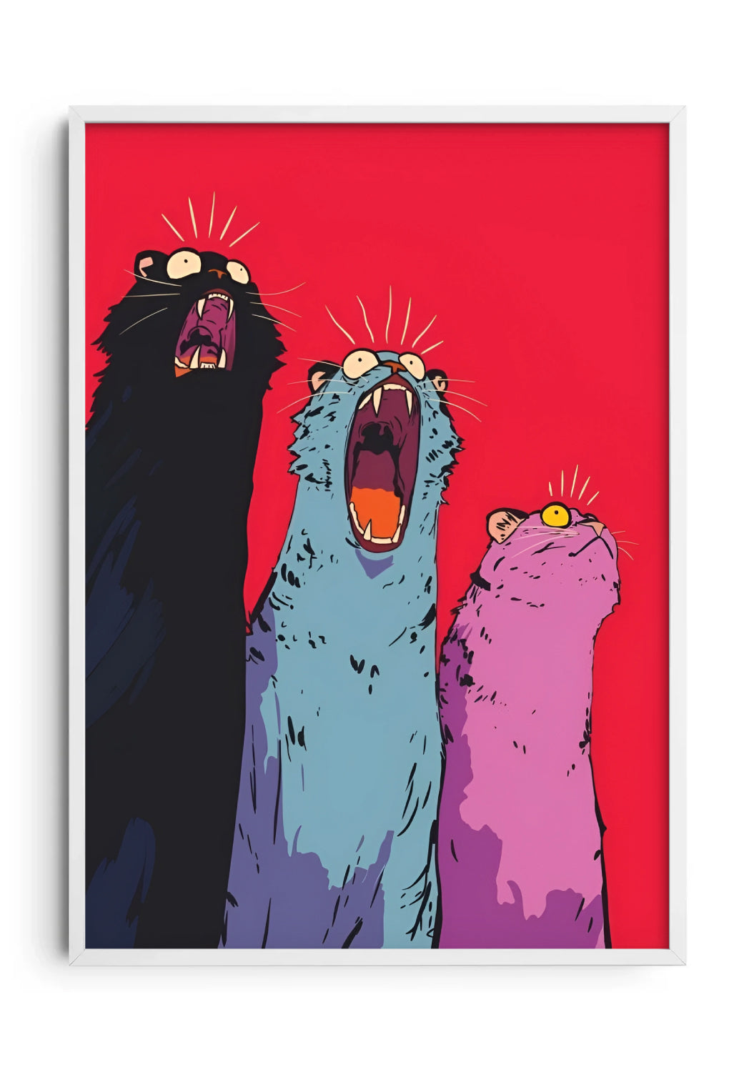 3 Cats