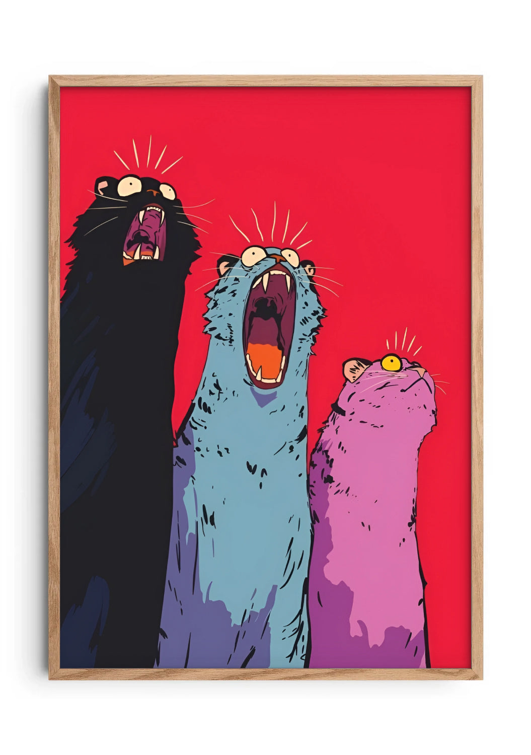 3 Cats