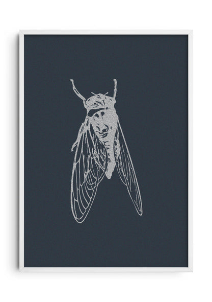 Night Caller