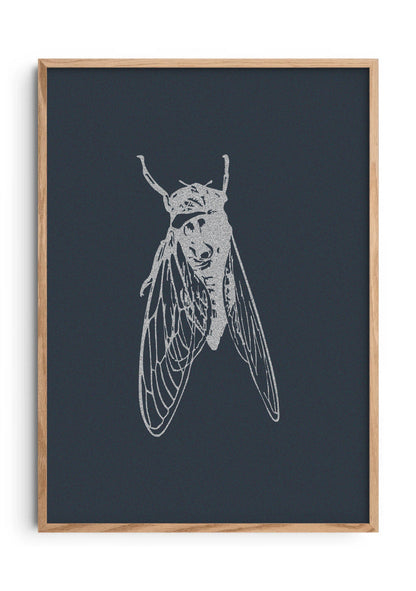 Night Caller